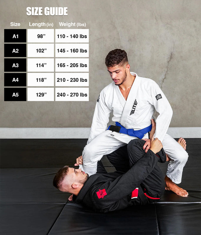 Brazilian Jiu Jitsu Adults BJJ Blue Belt