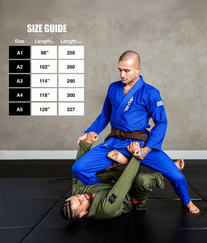 Brazilian Jiu Jitsu Adults BJJ Brown Belt