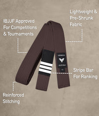 Brazilian Jiu Jitsu Adults BJJ Brown Belt