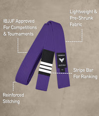 Brazilian Jiu Jitsu Adults BJJ Purple Belt